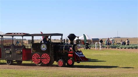 Spring U-Pick with Kid Zone, 16651 Schofield Rd, Clermont, FL, United ...