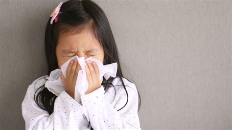 Timeline: The murder of Laurie Show, trials and appeals of co ...