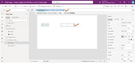 Power Apps Checkbox Tutorial 的图像结果