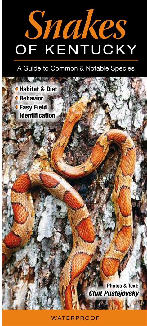 Venomous Snakes In Kentucky Map at Jorja Helms blog