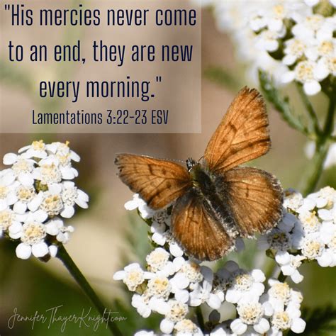His Mercies Are New Every Morning - JenniferThayerKnight.com