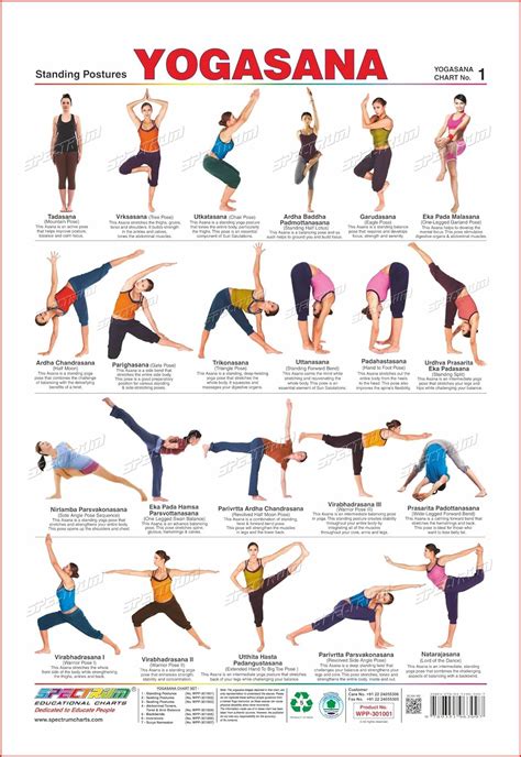 Standing Yoga Asanas Images With Names at Dorla Walker blog