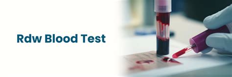 RDW Blood Test Results: What They Reveal About Your Health