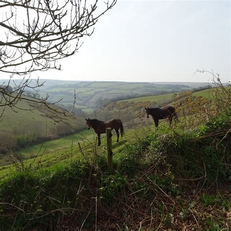 COOMBE FARM (Countisbury) - B&B Reviews & Photos - Tripadvisor