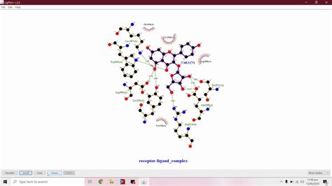 Image result for Ligplot Online Server