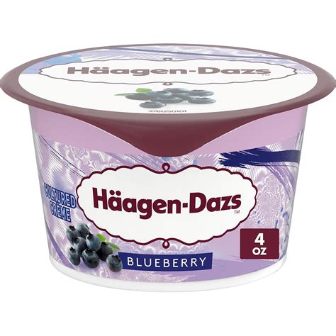 Amazon.com: Haagen Dazs Cultured Cream Yogurt Style Snack, Blueberry, 4 ...