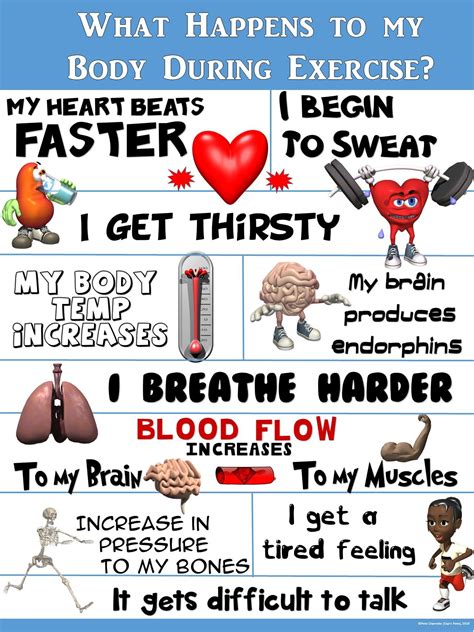 Pe poster what happens to my body during exercise – Artofit