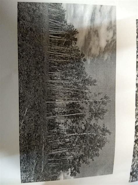 Identify the picture method of soil conservation below and write three ...