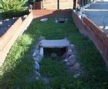 Image result for Rabbit Colony Construction