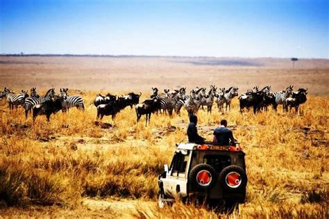 Honeymoon In Africa: Top 11 Romantic Getaways For Your 2026 Vacay!