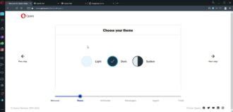 Image result for Opera Customization