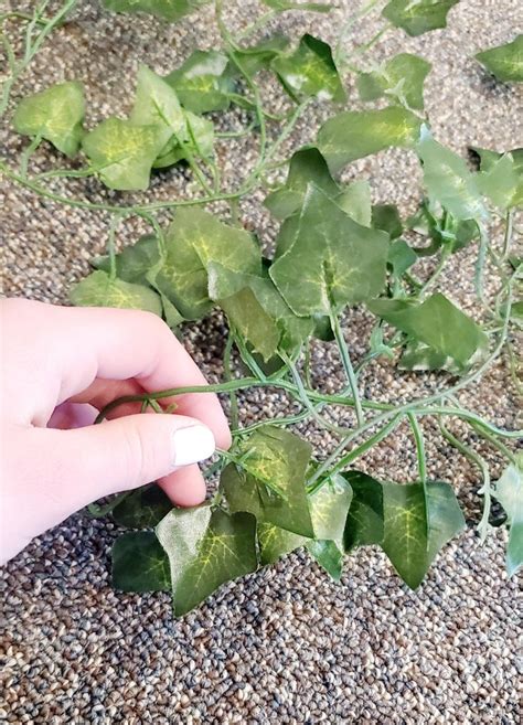 Image result for DIY PVC Backdrop