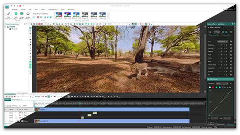 Image result for Color Grading Course Vsdc