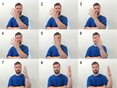 Image result for Tree Sign Language