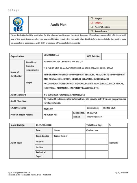 Audit Plan Example 的图像结果