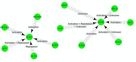 Image result for Mcode Tutorial Cytoscape