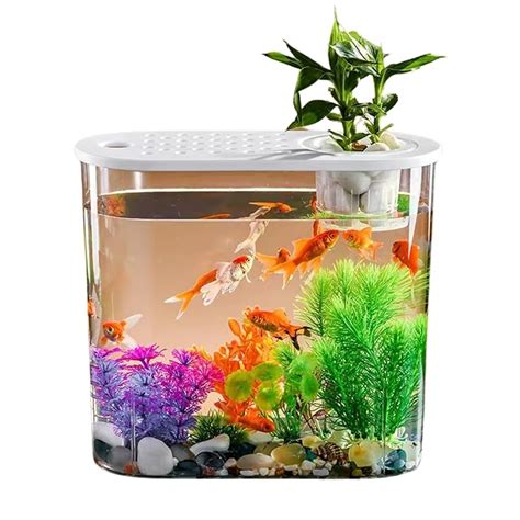 Buraq Hydroponic Fashion Aquarium Mini Fish Tank with Planting Basket ...