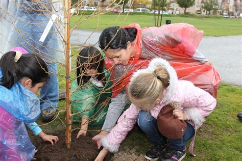 Image result for Miami Heat Tree-Planting Project