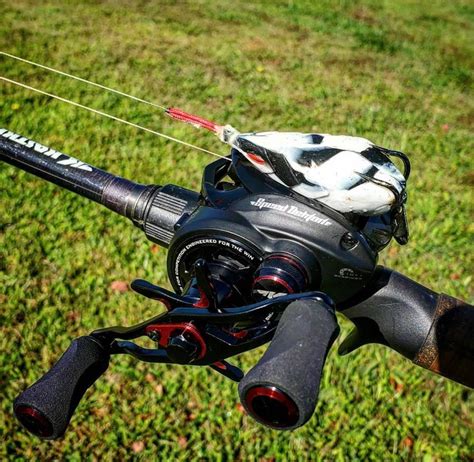 Conventional Vs Baitcasting Reels: Differences Explained – All Fishing Gear
