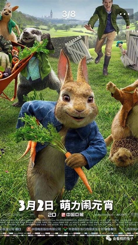 【彼得兔】 彼得兔Peter Rabbit 第一、二季 高清英文版&中文全资源百度云下载 - 栖禾