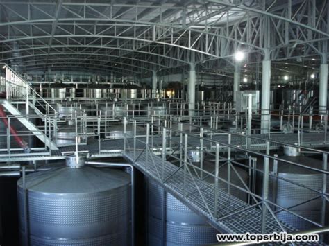 Ljubica Radan: Impresije iz Čilea, zemlje vina