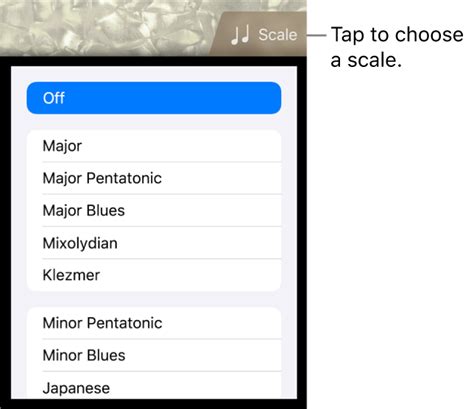 Play the Bass in GarageBand for iPad - Apple പിന്തുണ (IN)