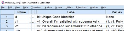 Image result for How to Add Variable Labels SPSS Syntax
