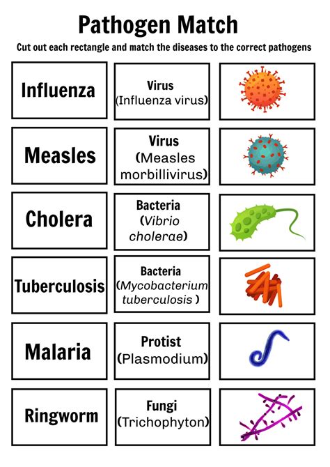 Image result for Pathogen Explanation