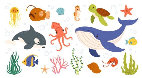 Ocean Animal Clipart