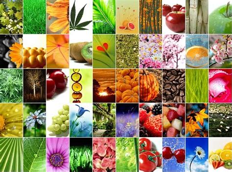 Image result for Python-Numpy DataTable