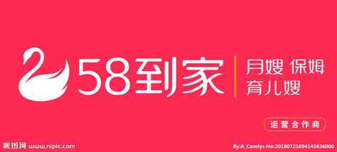 58到家家政app截图2