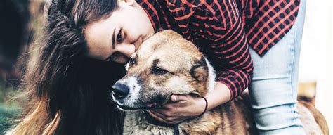 Pet Food Processing