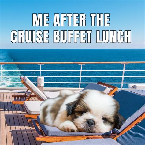 15 Cruise Memes That Will Make You Laugh Out Loud - Suburbs 101