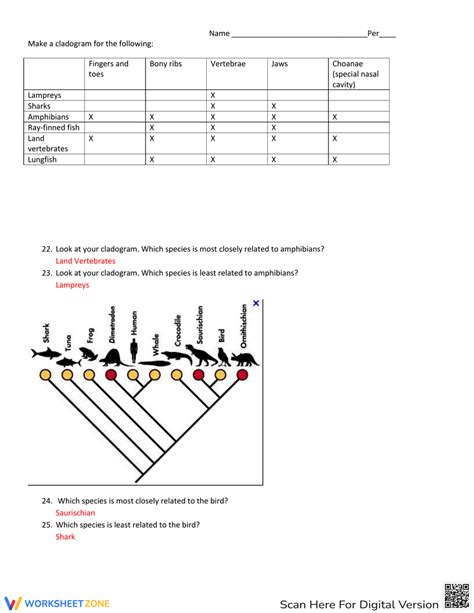 Image result for Cladogram Worksheet