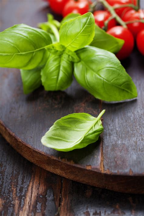 How to prep cook and store fresh basil