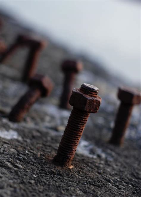 Blooprint Sensitivity Rust 的图像结果