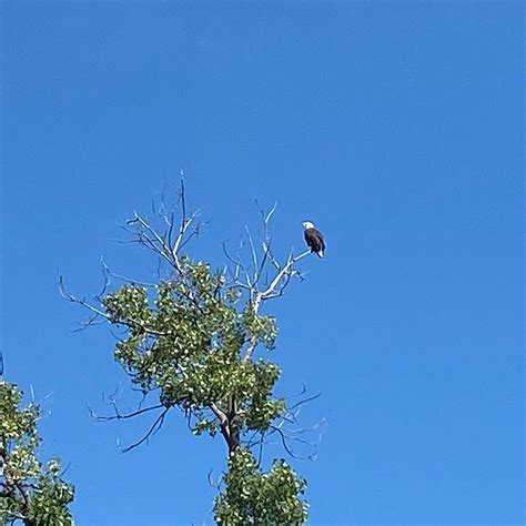 WABASIS LAKE CAMPGROUND (Greenville) - Campground Reviews & Photos ...