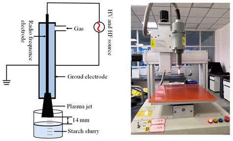 Effect of an Atmospheric Pressure Plasma Jet on the Structure and ...