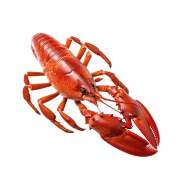 Image result for Cray Button