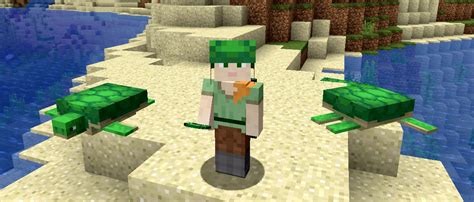 Image result for How to Craft a Turtle Shell in Minecraft