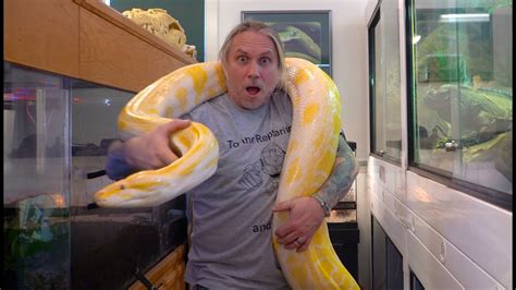 Bernie's Python 的图像结果