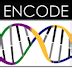 Image result for Encode Name