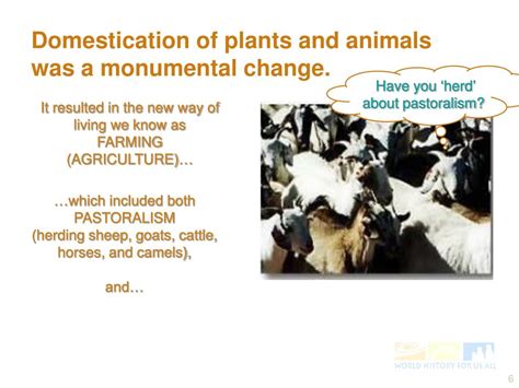 Neolithic Revolution Examples 的图像结果