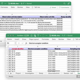 Research Project Metadata Table Example 的图像结果