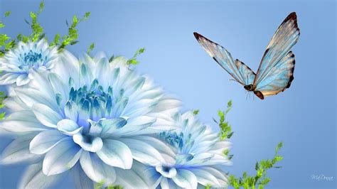 Butterfly And Flower Wallpapers - Wallpaper Cave