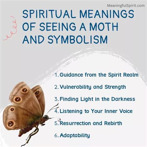 10 Spiritual Meanings of Seeing A Moth and Symbolism | Spiritual ...