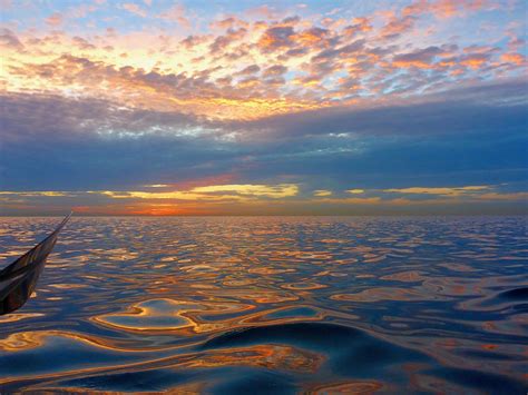 Sunlight Channel 的图像结果