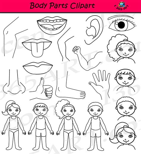 Free Human Body Parts Clip Art, Download Free Human Body Parts Clip Art ...