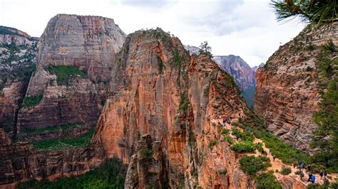Angels Landing Guided Hike - Tours - Zion Guide Hub — ZION GUIDE HUB