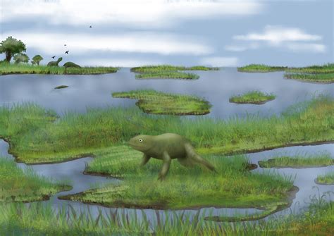 Swamp Creature 的图像结果